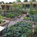 ****NEWSFLASH – A Witch’s Garden – NEWSFLASH****