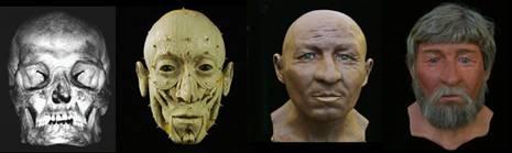 Reconstructions of the faces of the Mary Rose crew