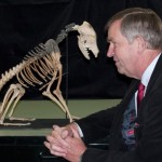 Tudor Mongrel Steals the Limelight at Crufts