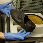 The Anne Boleyn Files in the Mary Rose Appeal Newsletter