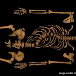Richard III Has Been Found!
