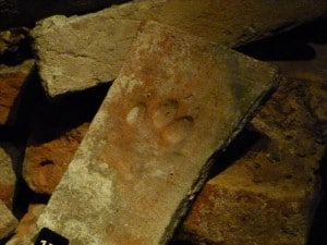 A paw print from the ship's dog