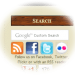 Using The Anne Boleyn Files Website