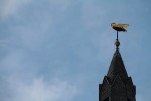 The golden swan on the Tower. It was placed there in the 15th century.