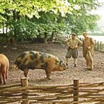 Tudor Monastery Farm Episode 3