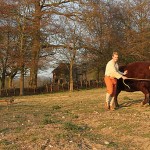 Tudor Monastery Farm Episode 1