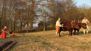 Tudor Monastery Farm