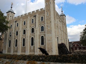 Tower of London and raven