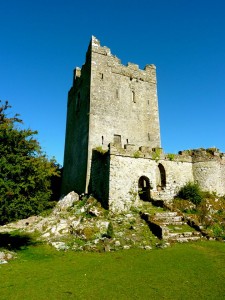 Clonony Castle, copyright Paudie Kennelly