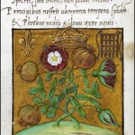 23 June 1509 – The coronation procession of King Henry VIII and Queen Catherine