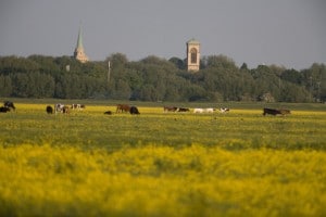 Portmeadow, before the student accommodation was built. (from Save Port Meadow)