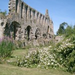 My Favourite Monastic Ruins and a Giveaway too!
