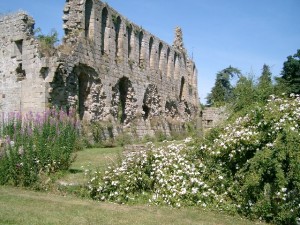 Jervaulx Abbey