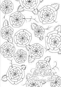 The Tudor Colouring Book