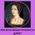 The miniature of Anne Boleyn by John Hoskins with the question "Do you think Anne Boleyn was guilty or innocent?"